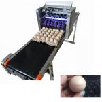 12V 4A Digital Egg Printing Machine , Automatic Batch Code Printing Machine  for sale