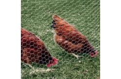 China 12M PVC Galvanized Hexagonal Wire Netting mesh For Poultry Farm supplier