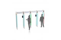 China Temperature Measuring and Face Recognition Security Check Gate supplier