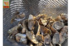 China Heavy Duty Extruded Aquaculture Netting Oyster Mesh HDPE Materials 1m  X  25m supplier
