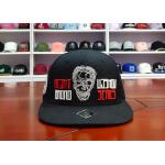 Fashionable High Quality ACE Unisex Custom 3D Embroidery Flat Embroidery Logo Hip Hop Baseball Snapback Cap for sale