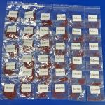 Custom Food Grade Standard Silicone Rubber O Rings / NBR EPDM FKM O Rings