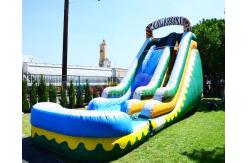 China Plato Outdoor Inflatable Water Slides With Pool Jumping Bouncer House supplier