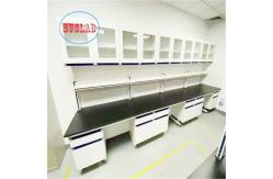 China Customizable Chemistry Lab Furniture with Safety Function Acceptable OEM/ODM supplier