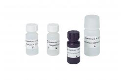 China Sperm DNA fragmentation test sperm chromatin structure assay SCSA supplier