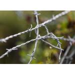 Farm Protection Double Strand Traditional Twist Electro Barbed Wire Coils for sale