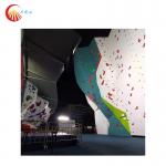 Moonhill Exciting Indoor Climbing Wall For Aged 6-50 Years Old for sale