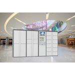 Safe Electronic Laundry Locker / Smart Software Control Rental Dry Cleaning Lockers