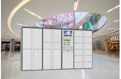 China Safe Electronic Laundry Locker / Smart Software Control Rental Dry Cleaning Lockers supplier