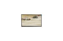 China TLX-1013 4.8 inch 168*128 TFT-LCD Screen Display supplier