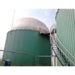1 MW Biogas Power Plant Cost Bio Gas Plant  For Home for sale
