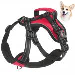 Personalized Reflective Explosion-Proof Leash for Medium and Large Dogs at Chengbei Special Dog Chest Strap for sale