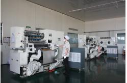 china LiFePO4 Battery Cells exporter
