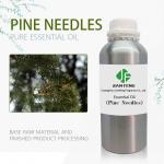10ml Organic Pine Needle Essential Oil 100% Pure Aromatherapy Essential Oil ODM for sale