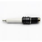 CH4 Power Station Spark Plug R6GC1-77S For Siemens SGE-56HM SGE-56SM Engine for sale