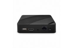 China Hd Linux IPTV Box Mutil Protocol Support H265 RTMP Decoder supplier