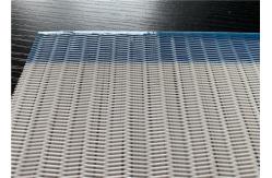 China High Filtration Accuracy Low Air Permeability Polyester Mesh Belt supplier