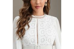 China Polyester Round Neck Ladies Lace Dresses Long Sleeves Embroidered Lace Mini Dress supplier
