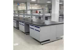 China Steel Biology Lab Casework For Customizable Lab Design supplier