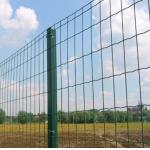 European PVC Coated Welded Wire Mesh Security Fencing Curved 50 X 100mm for sale
