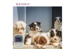 China Hand Held Veterinary Patient Monitor Sp02 And Pulse Rate supplier