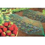 Green Bird Proof Net 3m / 5m Polyethylene Bird Netting High Durability