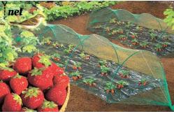 China Green Bird Proof Net 3m / 5m Polyethylene Bird Netting High Durability supplier