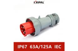 China IP67 Three Phase 63A 125A 380V Industrial Plug And Socket IEC Standard supplier