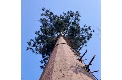 China Artificial Trees Telecommunication Q345 Steel Monopoles supplier
