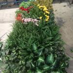 PE UV Outdoor Artificial Plants Wall Fake Grass Wall For Supermarket for sale
