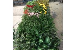 China 6cm Thickness Synthetic Grass With Round Leaf Foliage Artificial Cost Leaf Wall supplier