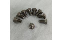 China Short Fully Thread Titanium Hex Head Bolt Screw with Casting Technology supplier