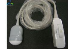 China Samsung V4-8 Ultrasound Transducer Probe Repair Service Replace Dome supplier