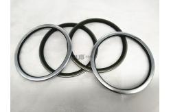 China 4067901 Dust Seal Hitachi EX120-5 EX130K EX200-2/3/5 Bucket Group supplier