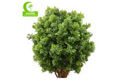 China Aesthetic Artificial Topiary Tree supplier