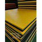 Competition Grade Puzzle EVA Mat Tatami For Judo Taekwondo for sale