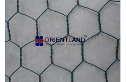 China High Strength Hexagonal Wovenmesh Gabion Rolls Rock Netting Fall Protection supplier