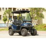 Four Wheels 2 Passengers Electric Golf Buggy 48V Battery Powered for sale