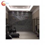 Gym Fitness Training Climbing Wall Outdoor Playground Climbing Training Board for sale