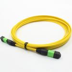 12 Core Single Mode MPO Patch Cable 2m For Machine Room for sale