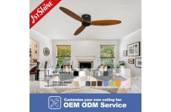 China Commercial European Style Electric Ceiling Fan with Remote Control 1stshine Boom Ceiling supplier