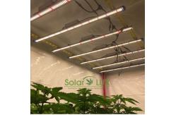 China UL8800 Full Spectrum LED Grow Lights 90Watt Horticultural Lighting supplier