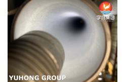 China ASTM A790 S32205 (1.4462) Duplex Steel Seamless And Welded Pipe supplier