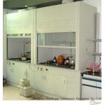 Rustproof Ducted Laboratory Fume Hood Cupboard Durable All Steel Material for sale