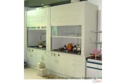 China Rustproof Ducted Laboratory Fume Hood Cupboard Durable All Steel Material supplier