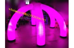 China inflatable LED ivory tusk arch supplier