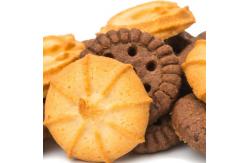 China P160 Speed 3000pics/hour Automatic filled cookie making machine supplier