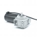 62BLX01A-001WG15 High Torque Worm Gearbox Motor 36v Dc Worm Gear Motor for sale