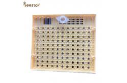 China Yellow Queen Rearing Cupkit System For Agricultural Beequeen Tools Cupkit System supplier