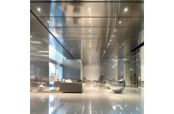 China Brushed Stainless Steel Wall Panel Cladding For A Sophisticated Texture supplier